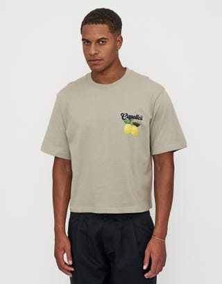 Lemon Cropped Relaxed Fit T Shirt in Desert Back