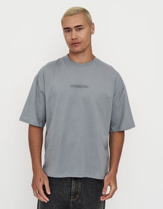 Domenica Box Fit T Shirt in Pebble Back