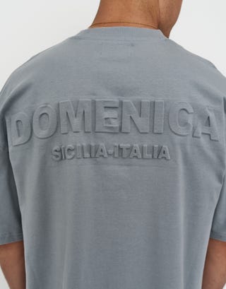 Domenica Box Fit T Shirt in Pebble Detail