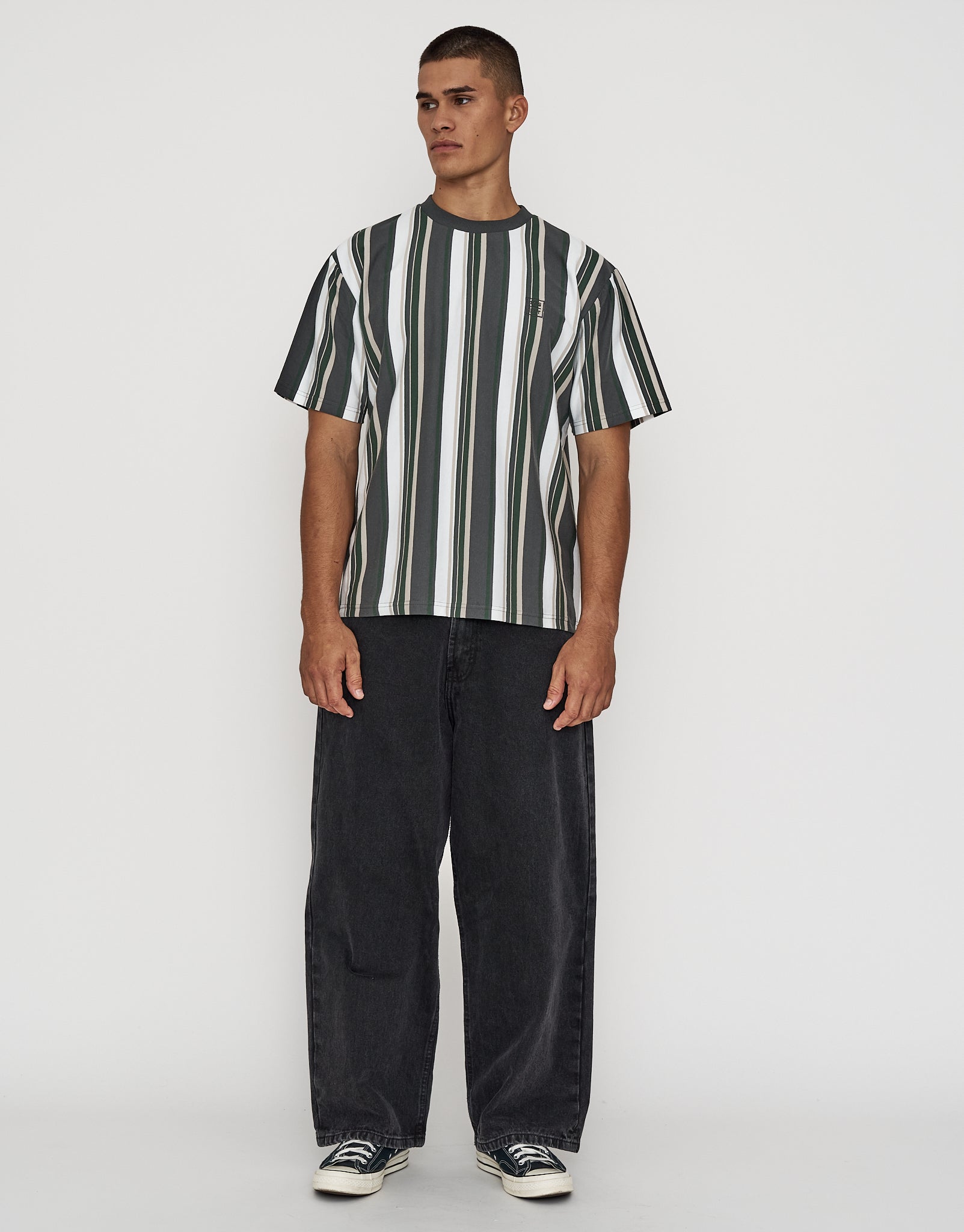 Ivy Striped Relaxed Fit Short Sleeve T Shirt in Multi