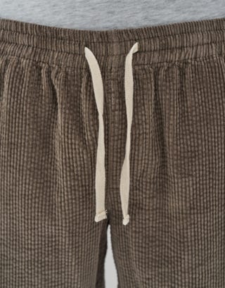 Jumbo Cord Shorts in Green Detail2