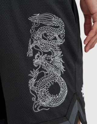 Liberty Basketball Shorts in Black Detail3