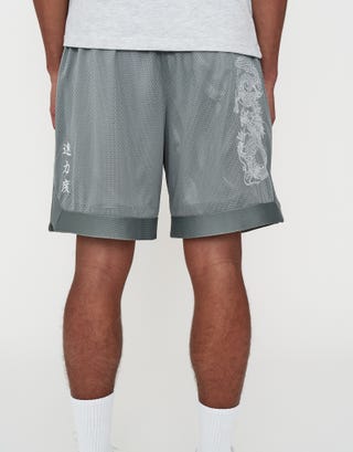 Liberty Basketball Shorts in Pebble Back