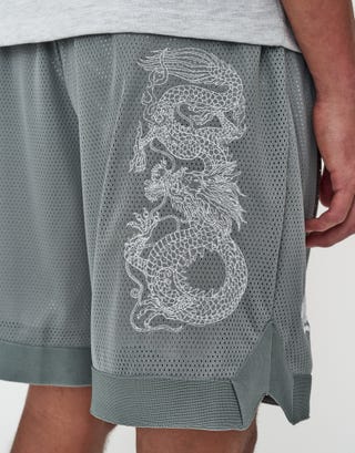 Liberty Basketball Shorts in Pebble Detail3