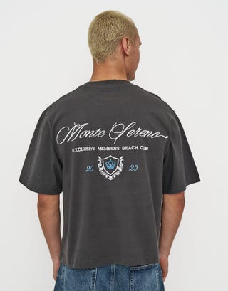 Monte Sereno Cropped Box Fit T Shirt in Pewter Grey Back