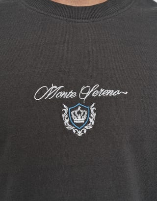 Monte Sereno Cropped Box Fit T Shirt in Pewter Grey Detail