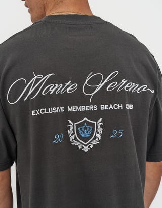 Monte Sereno Cropped Box Fit T Shirt in Pewter Grey Detail2