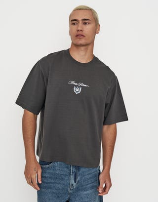 Monte Sereno Cropped Box Fit T Shirt in Pewter Grey Front
