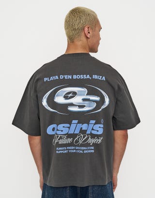 Osiris Box Fit T Shirt in Pewter Grey Front
