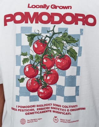 Pomodoro Cropped Relaxed Fit T Shirt in Blanc Detail2