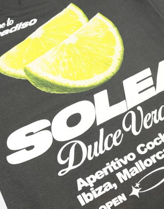 Solea Cropped Fit T Shirt in Pewter Grey Back