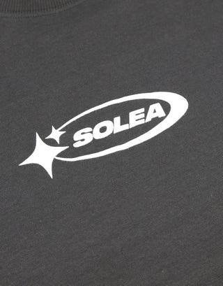 Solea Cropped Fit T Shirt in Pewter Grey Detail