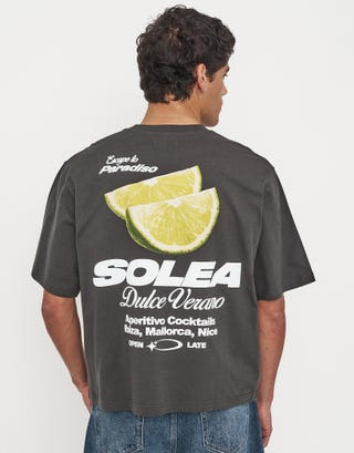 Solea Cropped Fit T Shirt in Pewter Grey Front