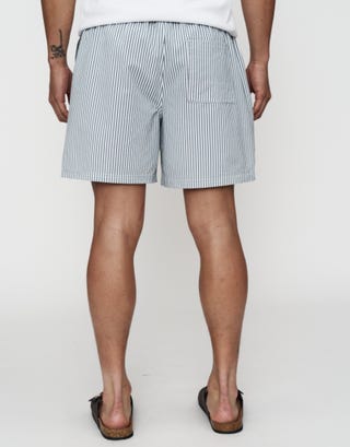 Summer Club Striped Swim Shorts in Pewter Grey Back