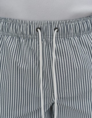 Summer Club Striped Swim Shorts in Pewter Grey Detail