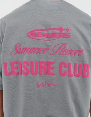 Leisure Summer Cropped Box Fit T Shirt in Pewter Grey Detail