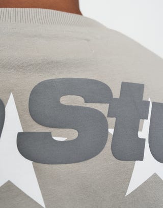 Synth Studios Cropped Box Fit T Shirt in Moon Detail3