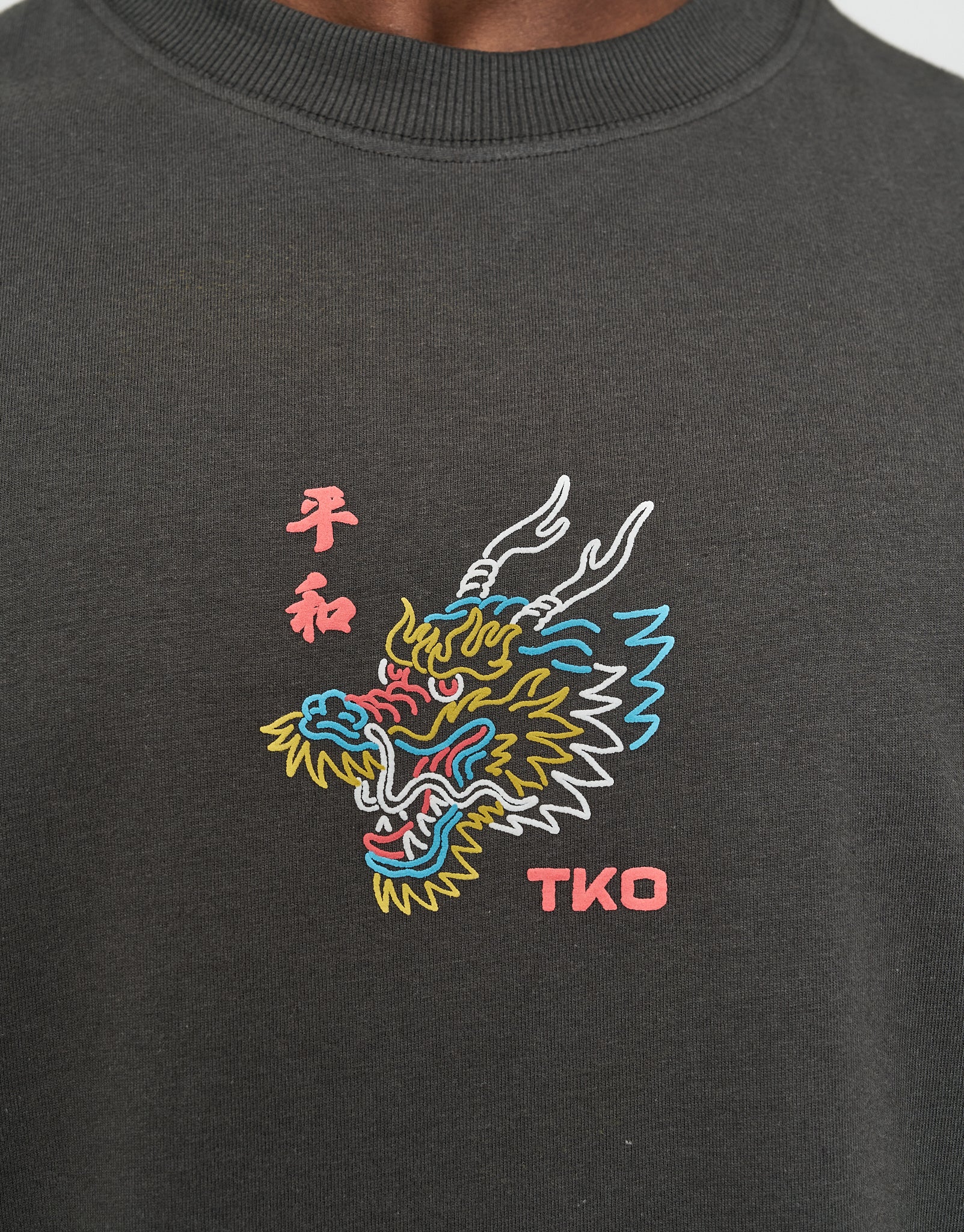 Dragon Face Relaxed Fit T Shirt in Pewter Grey | Hallensteins AU