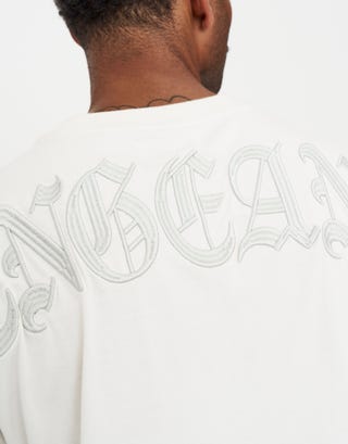 Vengeance Embroidered Relaxed Fit T Shirt in Snow Detail3