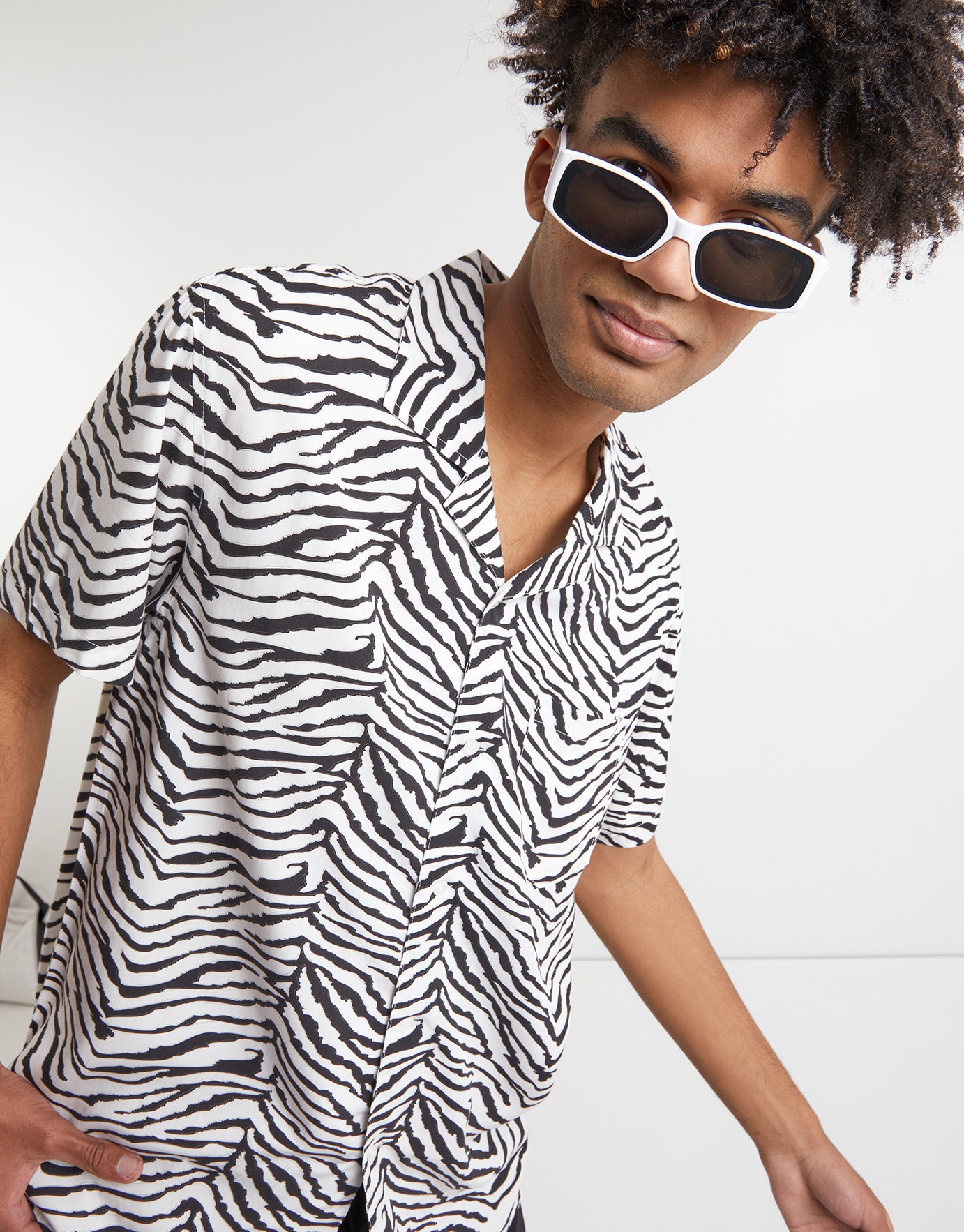 zebra shirts