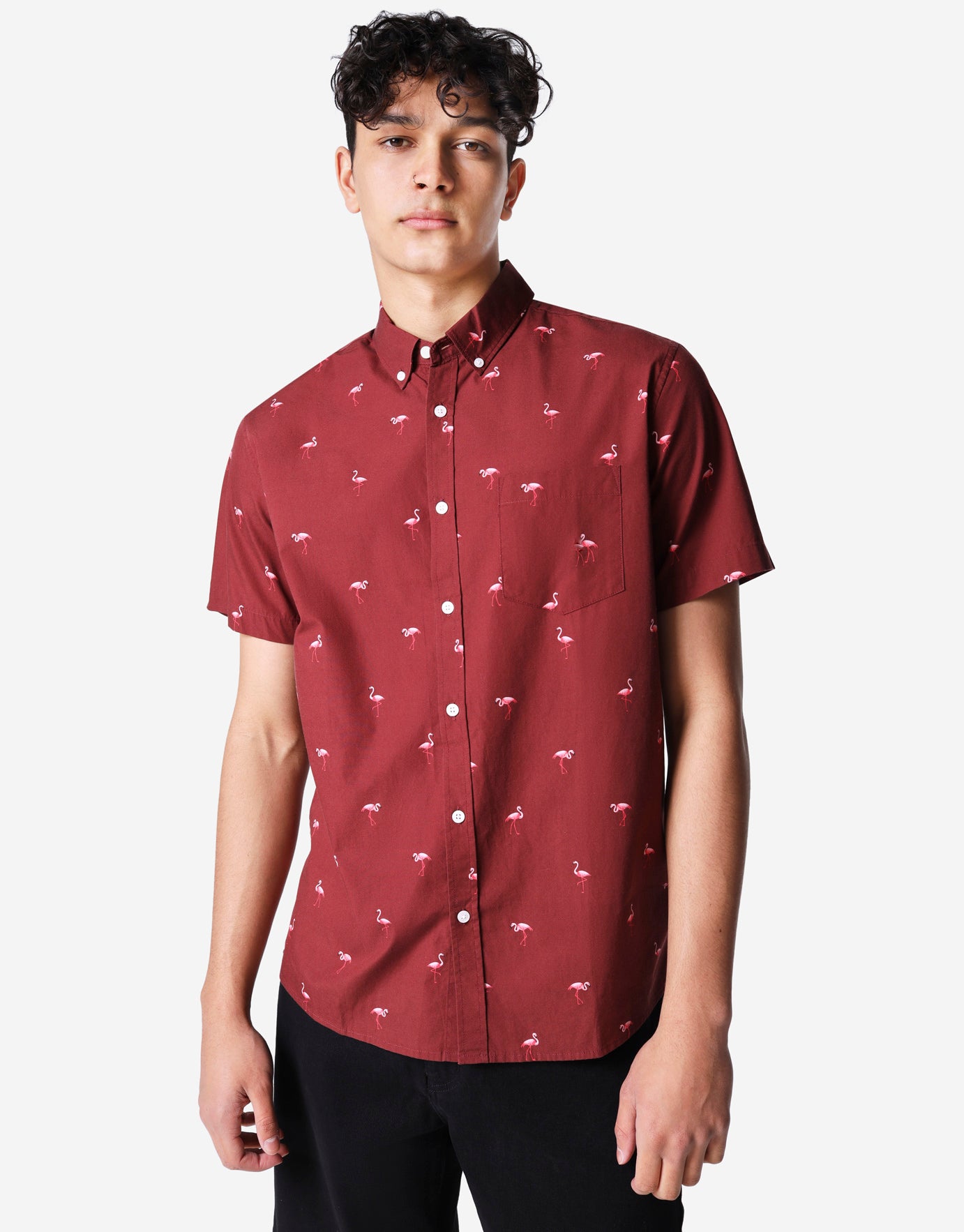 Flamingo Print Oxford Collar Short 