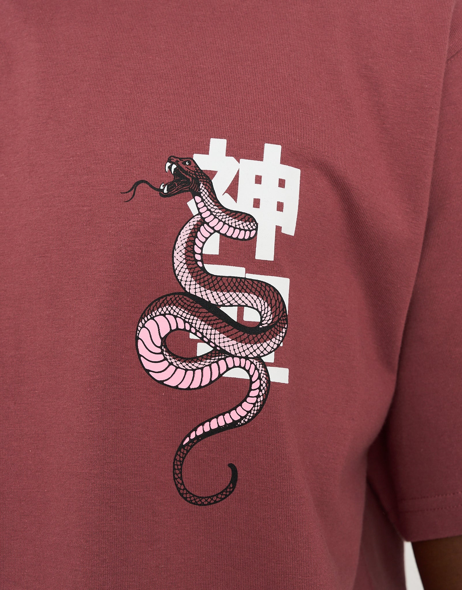 Snake Print Relaxed Fit T Shirt in Rose Taupe | Hallensteins NZ