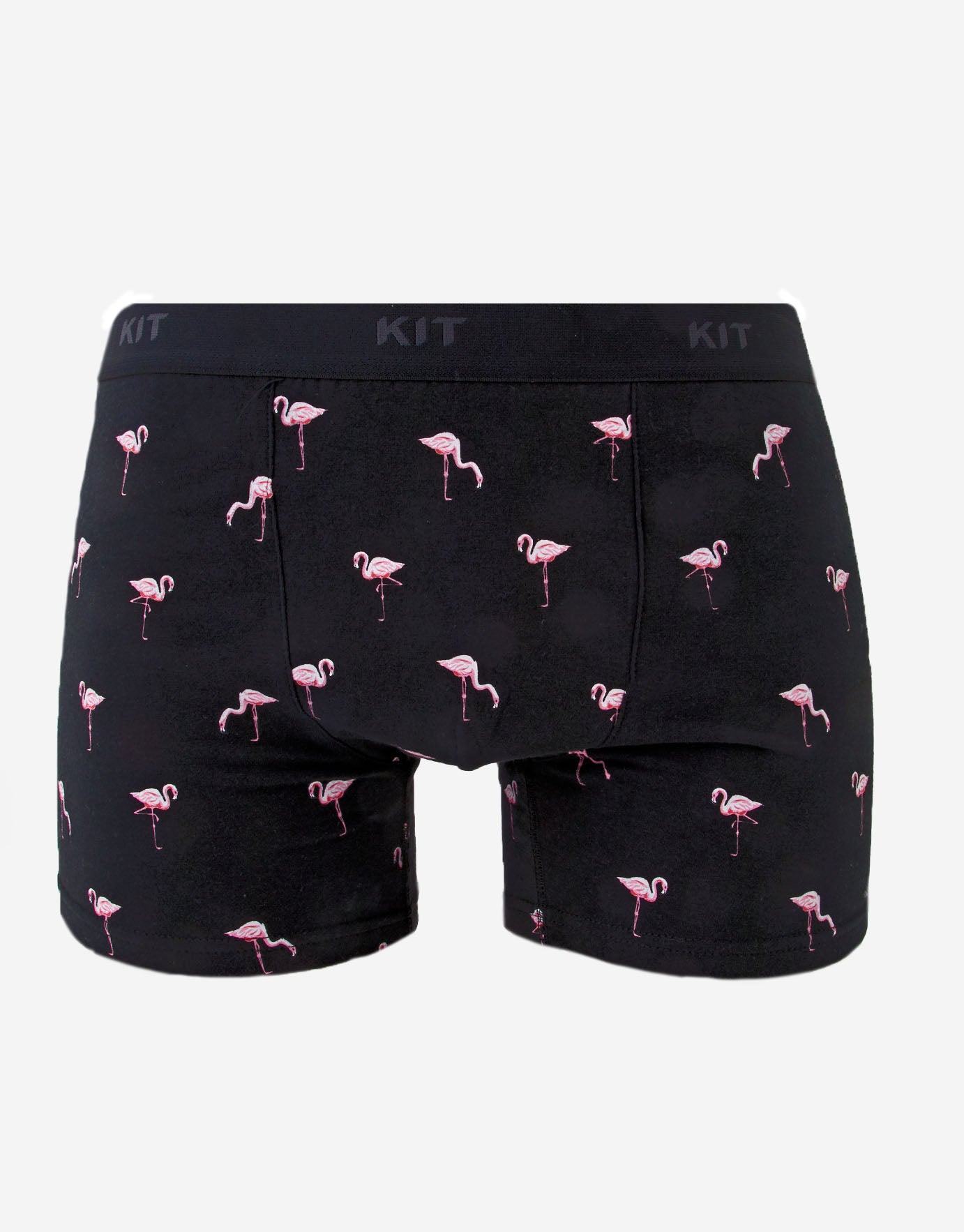 Flamingo Print Trunks | Hallensteins AU